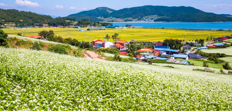 선학동 마을